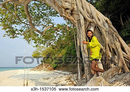 Young woman on a tree, Koh Phi Phi Don beach Krabi, Thailand, Asia View Large Photo Image Stock Photography - Young woman on a tree, Koh Phi Phi Don beach Krabi, Thailand, Asia. Fotosearch