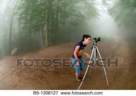 Young woman photographer taking pictures in the Beech forest in Montseny area Spain in the haze and mist in spring View Large Photo Image Stock Photo - Young woman photographer taking pictures in the Beech forest in Montseny area Spain in the haze and mist in spring. Fotosearch