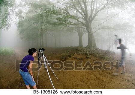 Stock Photograph - Young woman photographer taking pictures in the Beech forest in Montseny area Spain in the haze and mist in spring. Fotosearch