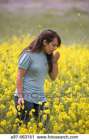 Young woman sneezing in a field of yellow flowers. View Large Photo Image Stock Image - Young woman sneezing in a field of yellow flowers.. Fotosearch