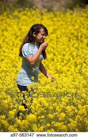 Young woman sneezing in a field of yellow flowers. View Large Photo Image Stock Photo - Young woman sneezing in a field of yellow flowers.. Fotosearch