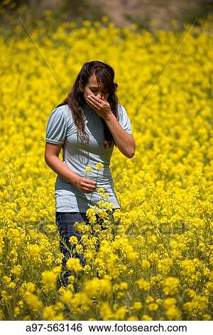 Young woman sneezing in a field of yellow flowers. View Large Photo Image Stock Photograph - Young woman sneezing in a field of yellow flowers.. Fotosearch
