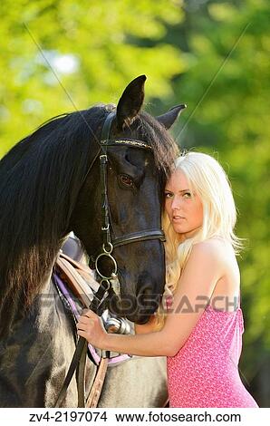 Young woman standing beside a Friesian horse in late sunlight. View Large Photo Image Picture - Young woman standing beside a Friesian horse in late sunlight.. Fotosearch