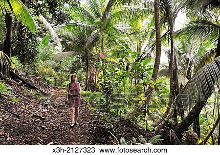 young woman walking on a path in the forest on the small Rolas turtledove island in the south of Sao Tome Island, Republic of Sao Tome and Principe, Africa. View Large Photo Image Stock Image - young woman walking on a path in the forest on the small Rolas turtledove island in the south of Sao Tome Island, Republic of Sao Tome and Principe, Africa.. Fotosearch