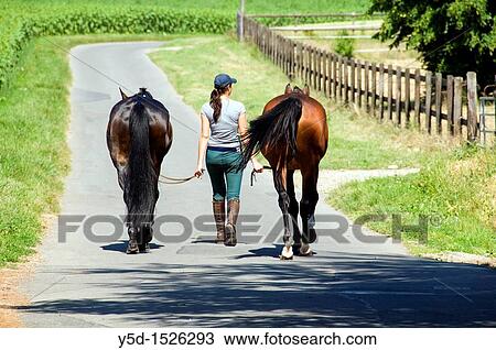 Stock Image - young woman walking on the street with two horses, Meyrin Village close to Geneva; Switzerland. Fotosearch