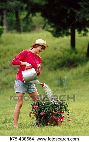 Young woman watering flowers View Large Photo Image Picture - Young woman watering flowers. Fotosearch
