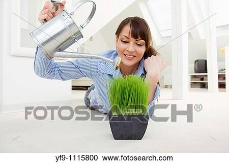 Stock Image - Young woman watering plant.. Fotosearch