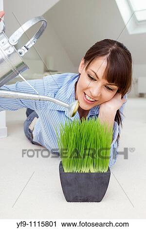 Stock Image - Young woman watering plant.. Fotosearch