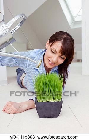 Young woman watering plant. View Large Photo Image Stock Image - Young woman watering plant.. Fotosearch