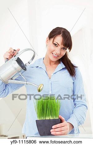 Young woman watering plant. View Large Photo Image Stock Photograph - Young woman watering plant.. Fotosearch