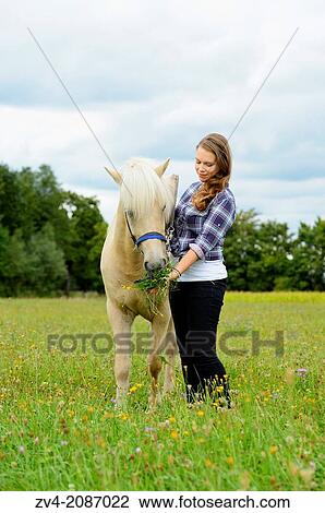 Young woman with a Icelandic horse on a meadow, Germany. View Large Photo Image Stock Image - Young woman with a Icelandic horse on a meadow, Germany.. Fotosearch