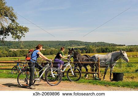 Stock Photograph - young women cycling and horses in meadow, around Remalard, Orne department, Lower Normandy region, France, Western Europe.. Fotosearch