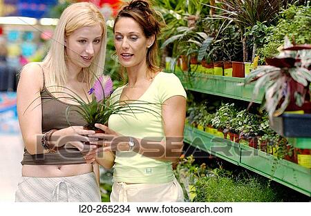 Young women looking for house plants at shopping center View Large Photo Image Picture - Young women looking for house plants at shopping center. Fotosearch