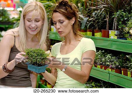 Stock Image - Young women looking for house plants at shopping center. Fotosearch