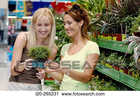 Young women looking for house plants at shopping center View Large Photo Image Stock Image - Young women looking for house plants at shopping center. Fotosearch