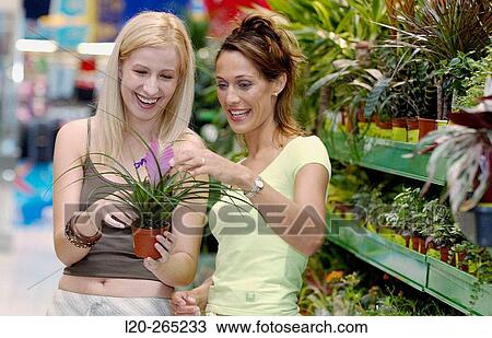 Young women looking for house plants at shopping center View Large Photo Image Stock Image - Young women looking for house plants at shopping center. Fotosearch