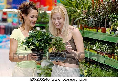 Young women looking for house plants at shopping center View Large Photo Image Stock Image - Young women looking for house plants at shopping center. Fotosearch
