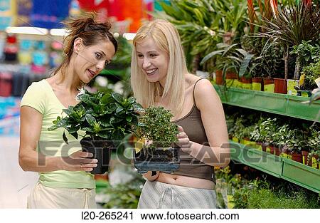Young women looking for house plants at shopping center View Large Photo Image Stock Image - Young women looking for house plants at shopping center. Fotosearch