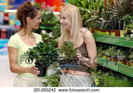 Young women looking for house plants at shopping center View Large Photo Image Stock Image - Young women looking for house plants at shopping center. Fotosearch