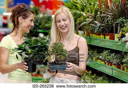 Young women looking for house plants at shopping center View Large Photo Image Stock Photo - Young women looking for house plants at shopping center. Fotosearch