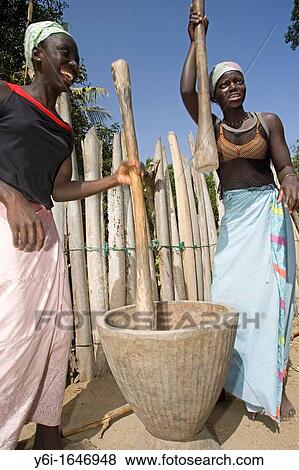 Stock Photo - Young women pound rice by hand in wooden pestle and mortar Berending village south of The Gambia. Fotosearch