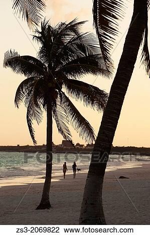 Young women walking at Tulum public beach, Tulum, Quintana Roo, Yucatan, Mexico. View Large Photo Image Stock Image - Young women walking at Tulum public beach, Tulum, Quintana Roo, Yucatan, Mexico.. Fotosearch
