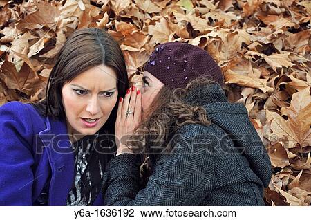 Young women whispering in friend ear outdoors View Large Photo Image Stock Image - Young women whispering in friend ear outdoors. Fotosearch