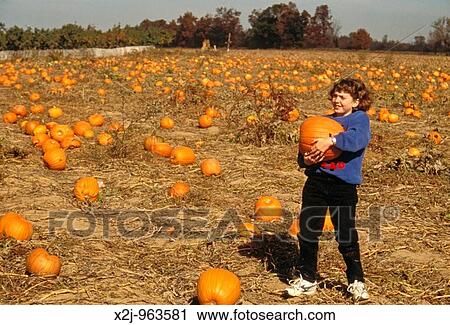 Ypsilanti, Michigan - Mariel West, 10, carries a pumpkin she has picked at Wiard's Orchard to be carved into a jack-? o-lantern for haloween MR View Large Photo Image Stock Image - Ypsilanti, Michigan - Mariel West, 10, carries a pumpkin she has picked at Wiard's Orchard to be carved into a jack-? o-lantern for haloween MR. Fotosearch