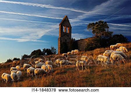 Zabalza, Navarre, Spain View Large Photo Image Stock Photo - Zabalza, Navarre, Spain. Fotosearch