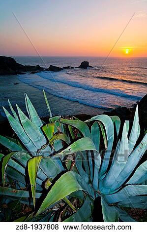 Zambujeira do Mar View Large Photo Image Stock Photo - Zambujeira do Mar. Fotosearch