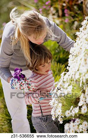 Stock Photography - Zina, Naloen, Standing, Showing, Flowers. Fotosearch