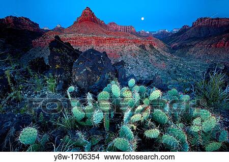 Zion National Park Scene View Large Photo Image Picture - Zion National Park Scene. Fotosearch