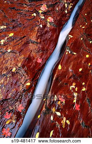 Zion National Park View Large Photo Image Stock Photo - Zion National Park. Fotosearch
