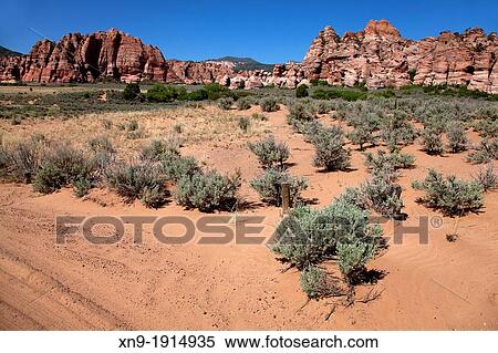 Zion National Park, Utah, USA View Large Photo Image Stock Photography - Zion National Park, Utah, USA. Fotosearch