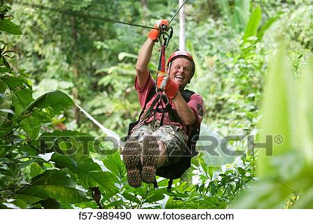 Zip wire at Hacienda Baru, Costa Rica View Large Photo Image Stock Image - Zip wire at Hacienda Baru, Costa Rica. Fotosearch