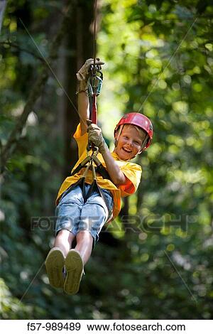 Zip wire at Hacienda Baru, Costa Rica View Large Photo Image Stock Photo - Zip wire at Hacienda Baru, Costa Rica. Fotosearch