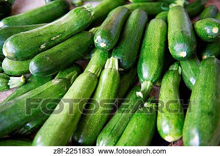 Zucchini. View Large Photo Image Stock Image - Zucchini.. Fotosearch