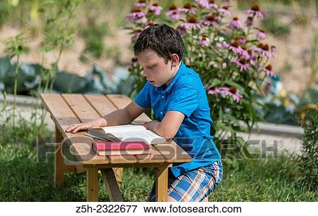 Stock Photo - A boy of twelve years in the garden on a wood bench with a book.. Fotosearch