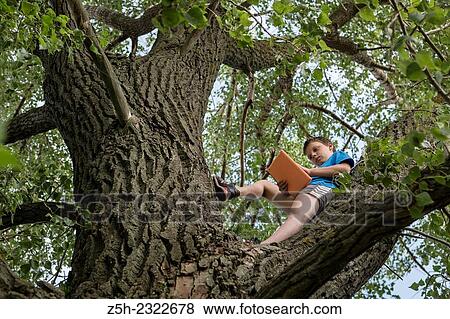 Stock Photo - A boy of twelve years on the big tree with iPads.. Fotosearch