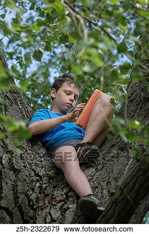 Stock Photo - A boy of twelve years on the big tree with iPads.. Fotosearch