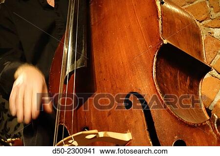 Bass music instrument in a jazz band, Stockholm, Sweden View Large Photo Image Stock Image - Bass music instrument in a jazz band, Stockholm, Sweden. Fotosearch