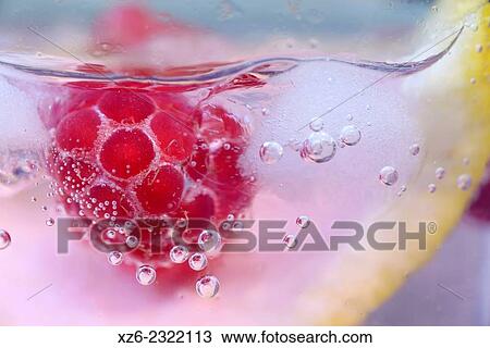 Close up detail of a gin and tonic with wild raspberries. View Large Photo Image Stock Image - Close up detail of a gin and tonic with wild raspberries.. Fotosearch