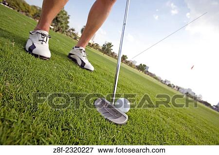 Close up of a Woman playing Golf, Miami Beach Golf Club, Miami Beach, Florida, USA. View Large Photo Image Stock Photo - Close up of a Woman playing Golf, Miami Beach Golf Club, Miami Beach, Florida, USA.. Fotosearch