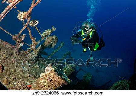 Diver looking at wreckship Gianis D. Red Sea, Sharm El Sheikh, Egypt. View Large Photo Image Stock Photograph - Diver looking at wreckship Gianis D. Red Sea, Sharm El Sheikh, Egypt.. Fotosearch