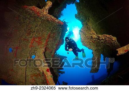 Stock Photography - Diver on swims in the hold of the shipwreck "SS Dunraven", Red Sea, Egypt.. Fotosearch