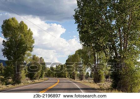 Stock Photo - Driving along a tree-lined street on a sunny summer day in Grand Teton National Park, Wyoming, USA.. Fotosearch
