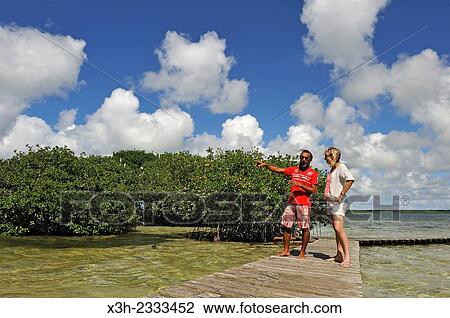 Stock Image - exploring mangrove, Grand Cul-de-sac Marin, Vieux-Bourg, Morne-a-l'eau, Grande-Terre, Guadeloupe, overseas region of France, Leewards Islands, Lesser Antilles, Caribbean.. Fotosearch