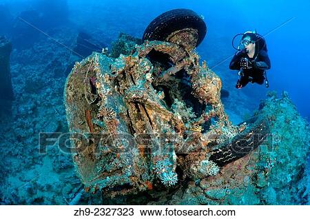Stock Image - Military trucks Bedford. Military armored vehicles with abandoned in the Red Sea during the Six Day War between Israel and Egypt. Red Sea, Sharm el-Sheikh, Sinai Peninsula, Egyp.. Fotosearch