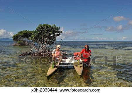 Picture - pedalboat trip around the mangrove swamp, Grand Cul-de-sac Marin, Vieux-Bourg, Morne-a-l'eau, Grande-Terre, Guadeloupe, overseas region of France, Leewards Islands, Lesser Antilles, Caribbean.. Fotosearch