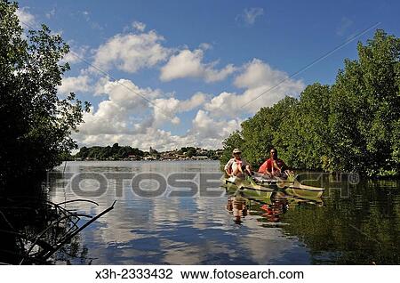 Stock Image - pedalboat trip around the mangrove swamp, Grand Cul-de-sac Marin, Vieux-Bourg, Morne-a-l'eau, Grande-Terre, Guadeloupe, overseas region of France, Leewards Islands, Lesser Antilles, Caribbean.. Fotosearch